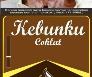 Kebun coklat